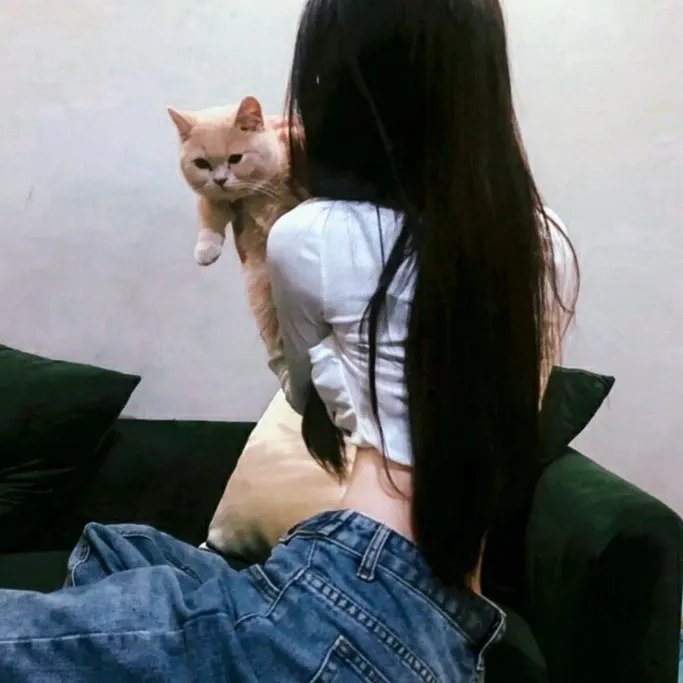 销售奇姬